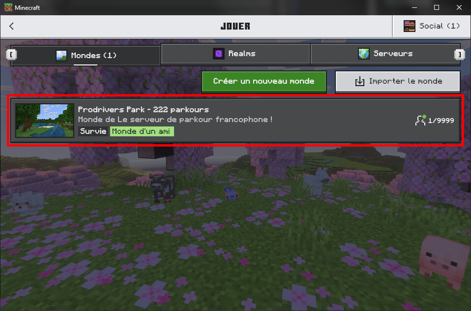 Menu de jeu de Minecraft avec serveur venant de l'ami